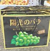 宾川阳光玫瑰礼盒（昆明市区物业中心自提产品） 商品缩略图1