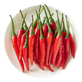 【蔬】指天椒/小米辣 50g/份