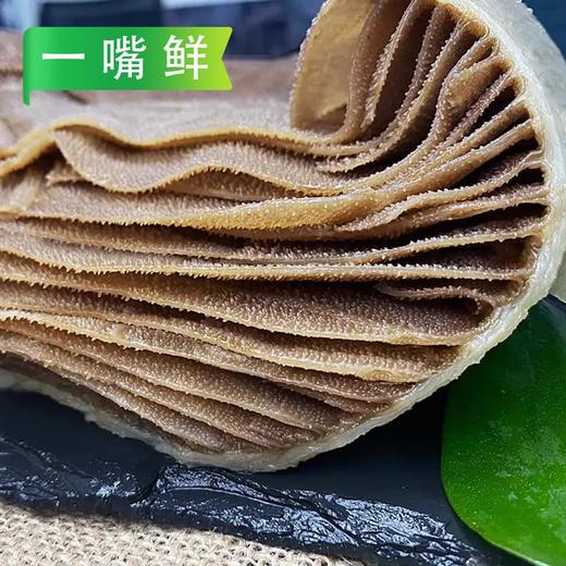 【会员专享·特价】思源大健康毛肚(固形物含量≥70%)  净含量2.5kg/袋，毛重七斤多 商品图3