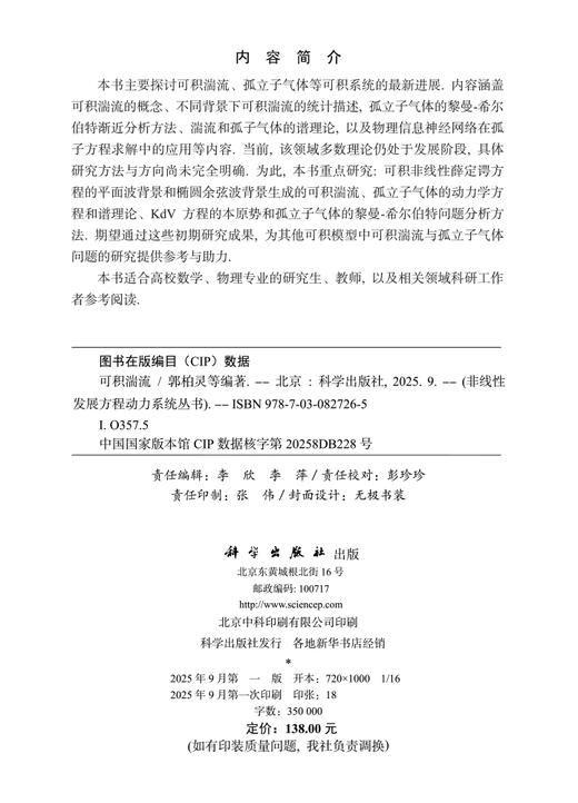 可积湍流 商品图2