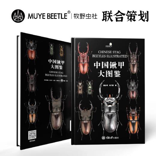 【官方正版】《中国锹甲大图鉴》甲虫书籍甲虫科普锹甲昆虫自然科学 ★ 牧野官方授权-分销 商品图0