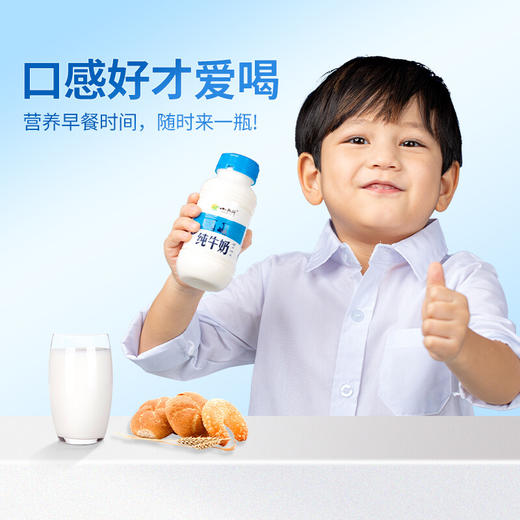 【青海优品】小西牛 青藏奶源纯牛奶 243ml*12 商品图3
