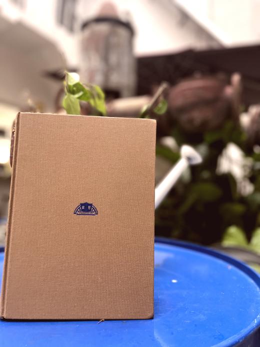 新书预定《新修 康熙字典》（上下册 繁体版 预计2个月到2个半月发出） 商品图5