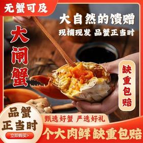 【大闸蟹卡券❗️9月下旬开湖兑换】阳澄湖大闸蟹，肉质饱满嫩滑，满载江南美食之味。口感鲜美爽滑，营养丰富滋味浓郁。售后质量全保障，中秋送礼佳品，阳澄湖基地直发，爆品爆款礼盒套装L
