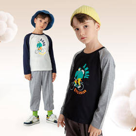 男童圆领长袖针织衫秋季新款安奈儿童装EB531583