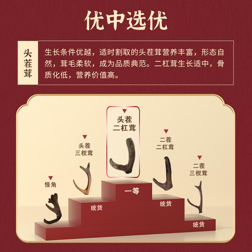 劲牌持正堂鹿茸片 商品图3