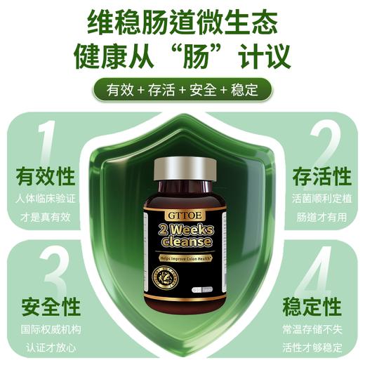 GTTOE清肠胶囊2周清畅益生元益生菌 商品图3