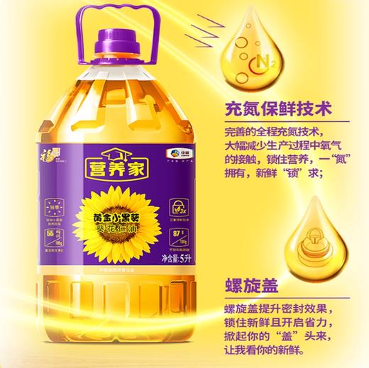 【YMHR】福临门黄金小黑葵 商品图1
