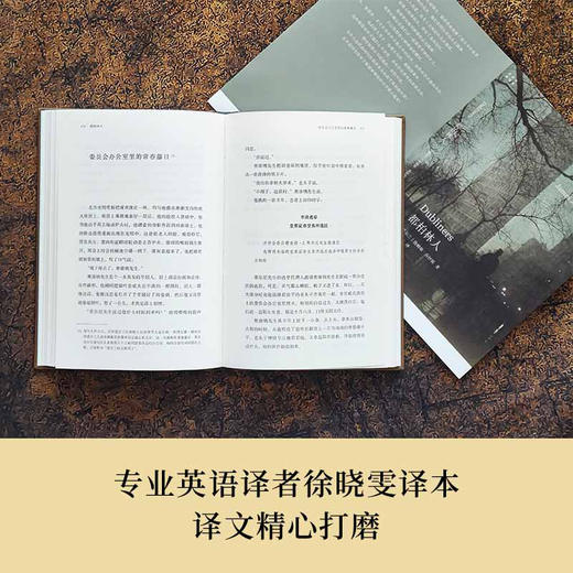 【乔伊斯精选集】都柏林人（ 乔伊斯仅有短篇小说集，西方文学史上的名篇；十五部短篇，宛若一幅印象主义画作，苍凉之中偶现温情；专业英语译者徐晓雯译本，译文精心打磨） 商品图3