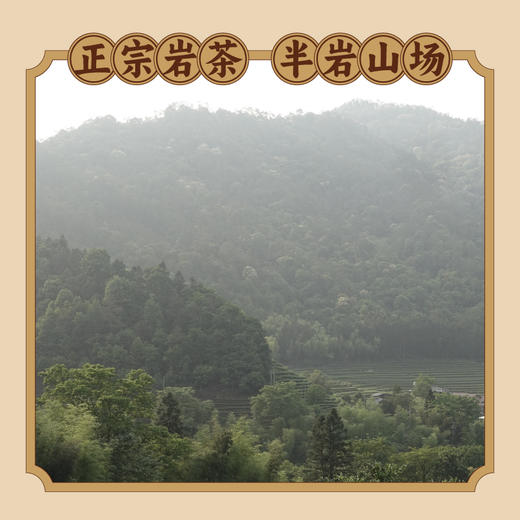 武夷瑞芳|岩听|肉桂125g礼盒装 商品图2