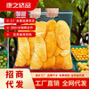 新款新品临安新鲜香甜芒果干泰国风味罐装办公休闲零食新款新品 商品缩略图0