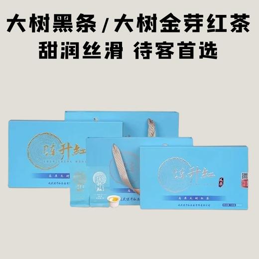 【会员日直播】2025年陈升红风华大树金芽/黑条红茶  100克/盒 商品图0