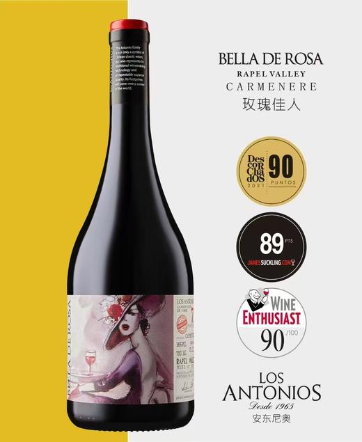 智利葡萄酒赤霞珠原装进口玫瑰佳人（750ml*6瓶/件） 商品图0