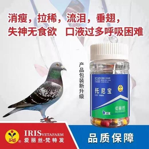 【托尼宝】胶囊60粒，沙门氏衣原体/口液多（爱丽丝） 商品图0