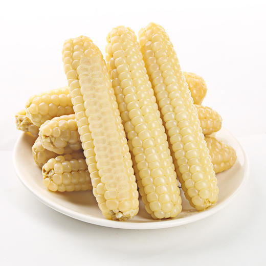 滇枝萃云南西双版纳拇指小玉米 商品图10