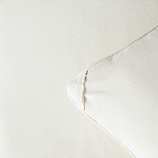 雅兰家纺暖心冬厚被芯 商品图3