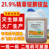 正品21.9%精草铵膦铵盐果园柑橘园非耕地除杂草灭生性除草剂农用 商品缩略图2