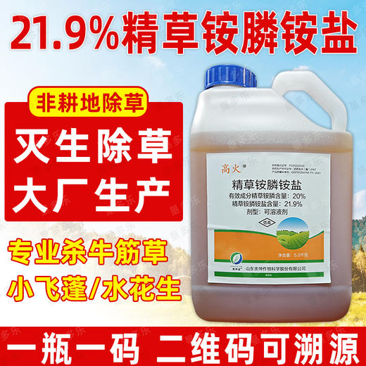 正品21.9%精草铵膦铵盐果园柑橘园非耕地除杂草灭生性除草剂农用 商品图2