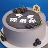 今天你最帅 .纯牛乳冰淇淋蛋糕 |  梦雪龙 商品缩略图4