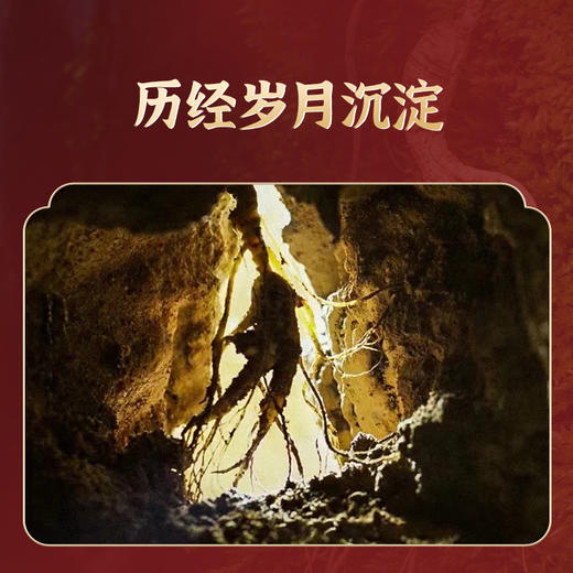 劲牌持正堂10年林下参礼盒 商品图3