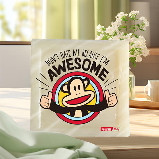 大嘴猴
植萃椰油洗衣皂
300g/块 商品图0