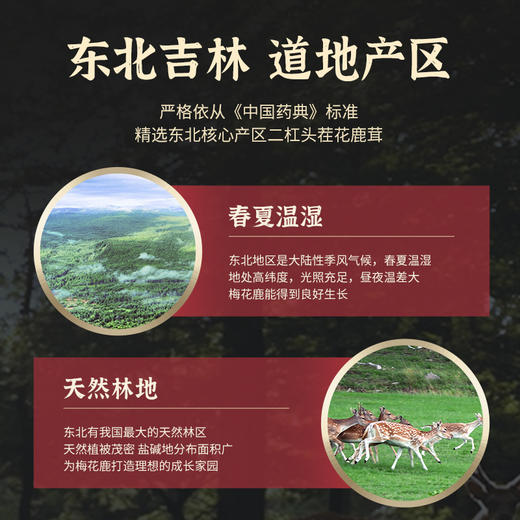 劲牌持正堂鹿茸片礼盒 商品图1