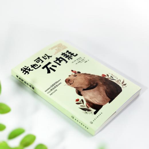 我也可以不内耗 商品图1