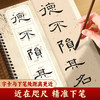 【近距离临摹字卡】毛笔字帖书法入门王羲之行书宋徽宗瘦金体千字文曹全碑隶书赵孟頫胆巴碑经典高清修复放大原碑帖字帖 商品缩略图4