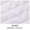 BOW-315A PROSIMON女款长袖立领休闲运动风棉服 商品缩略图2
