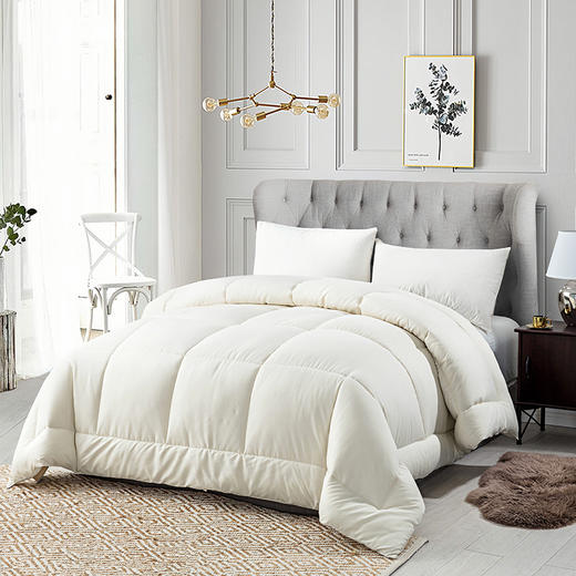 雅兰家纺暖心冬厚被芯 商品图0