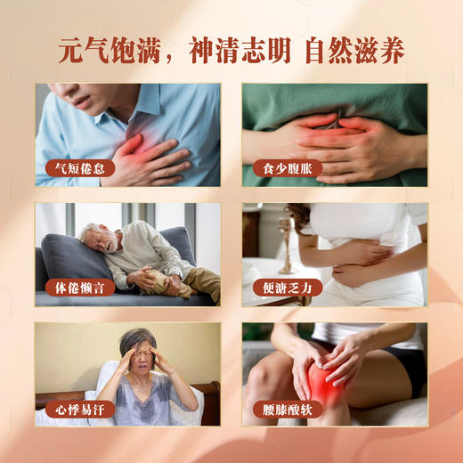 充盈茶-人参黄芪大枣茶 商品图1