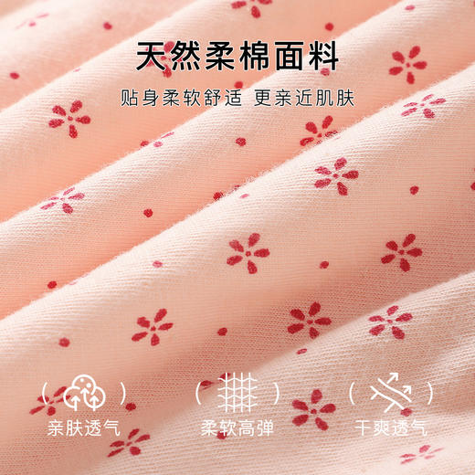 【4条装】中老年100%纯棉三角内裤女加肥加大全棉裤衩女8003中老年三角裤 商品图3