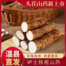 【垆土铁棍鲜山药】| 元和优选 焦作温县垆土地铁棍山药新鲜发货