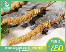 西藏那曲冬虫夏草礼盒（干货）/1盒（20条，共4-4.2g）生产日期：25年9月补单专用