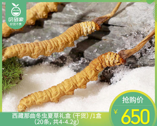 西藏那曲冬虫夏草礼盒（干货）/1盒（20条，共4-4.2g）生产日期：25年9月补单专用 商品图0