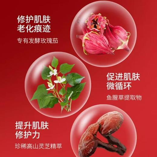 四代资生堂红腰子精华液75ml*2补水保湿滋润维稳 商品图4