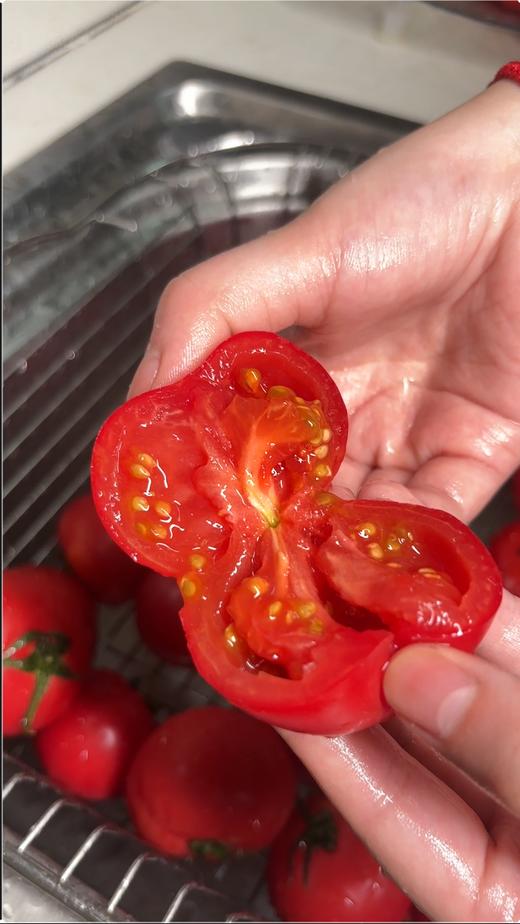 【玫瑰番茄】带有花香 水果番茄中的高端品种！！  自然成熟 果肉脆甜 酸甜多汁！ 商品图7