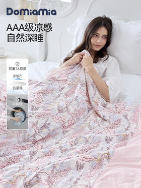 Domiamia 成人夏季凉感被-锦氨 空调被可机洗抑菌被芯