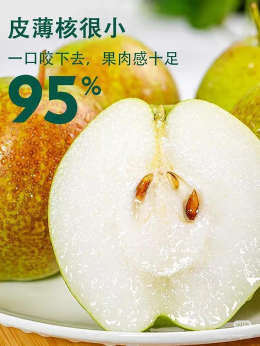 礼盒装玉露香梨 商品图5