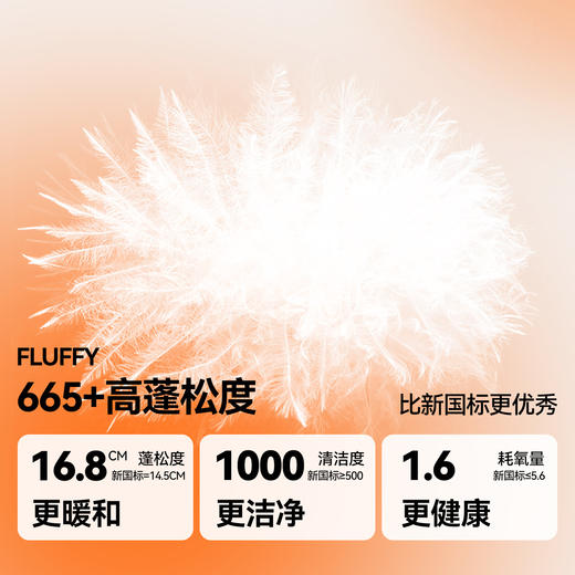 女童可拆卸毛圈帽子长款羽绒服冬季新款安奈儿童装EG545518 商品图2