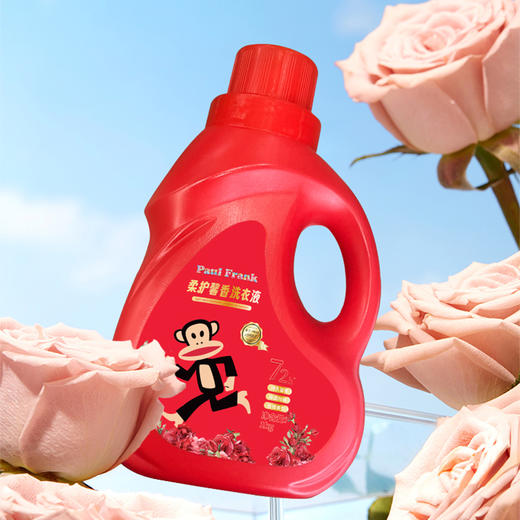 大嘴猴
柔护馨香洗衣液
1kg 商品图1