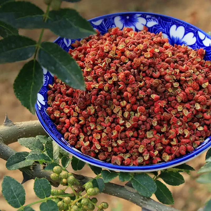 2025年新花椒粒陕西大红袍香麻十足