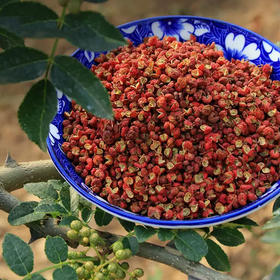 2025年新花椒粒陕西大红袍香麻十足