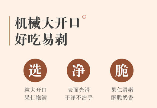 夏威夷果奶油味袋装250g罐装150g坚果干果含罐休闲零食新款新品礼包 商品图9