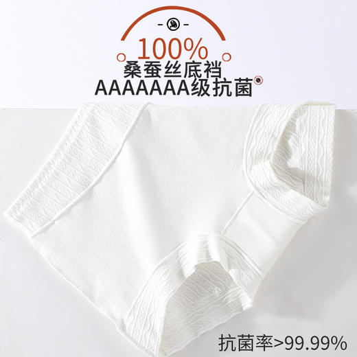 【不卷边 不夹臀 才是好内裤 】60S女士纯棉平角内裤女高腰大码提臀收腹7A蚕丝yi菌打底裤女新款新品 商品图3