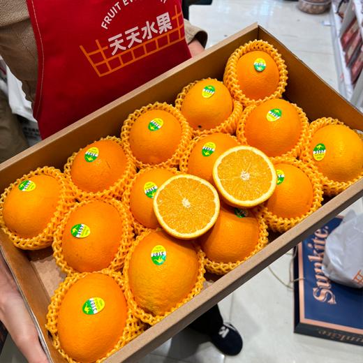 进口金巴利甜橙 大果 橙子 礼盒 商品图1