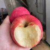 国家地理标志产品·洛川苹果红富士苹果 鲜爽脆嫩 直击味蕾 商品缩略图9