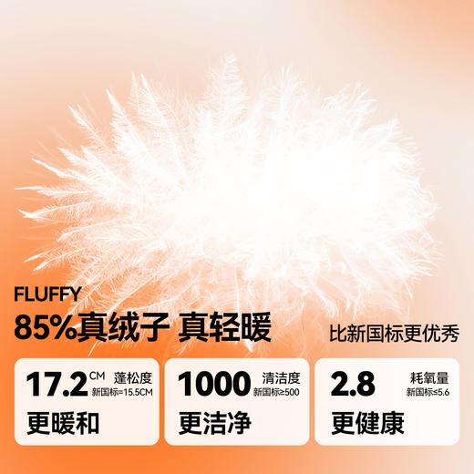 男女童可拆卸帽子长款羽绒服冬季新款安奈儿童装EM545568 商品图2