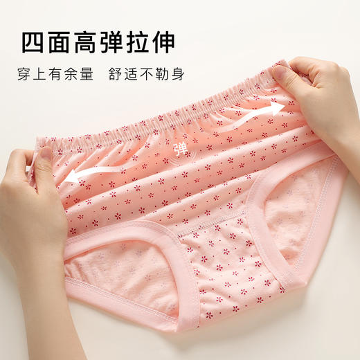【4条装】中老年100%纯棉三角内裤女加肥加大全棉裤衩女8003中老年三角裤 商品图5