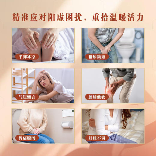 阳光茶-黄芪肉苁蓉肉桂茶 商品图1